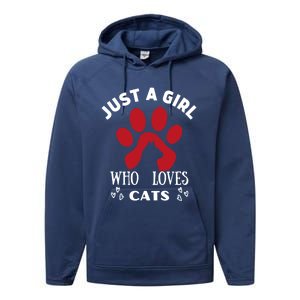 Just A Who Loves Cats Valentines Day Cats Funny Gift Performance Fleece Hoodie