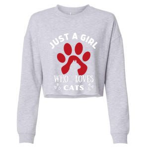 Just A Who Loves Cats Valentines Day Cats Funny Gift Cropped Pullover Crew