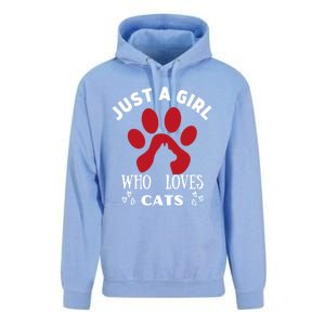 Just A Who Loves Cats Valentines Day Cats Funny Gift Unisex Surf Hoodie