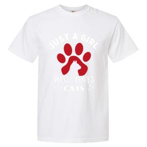 Just A Who Loves Cats Valentines Day Cats Funny Gift Garment-Dyed Heavyweight T-Shirt