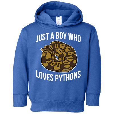 Just A Who Loves Ball Pythons Cute Ball Python Snake Gift Toddler Hoodie