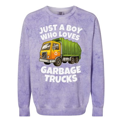 Just A Who Loves Garbage Trucks Recycling Day Colorblast Crewneck Sweatshirt