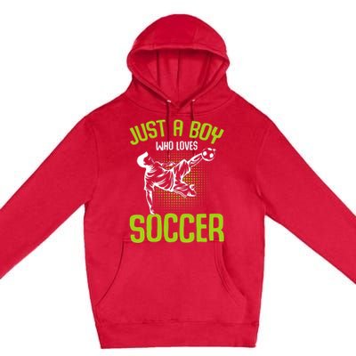 Just A Who Loves Soccer Player Premium Pullover Hoodie