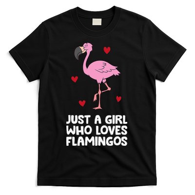 Just A  Who Loves Flamingos T-Shirt