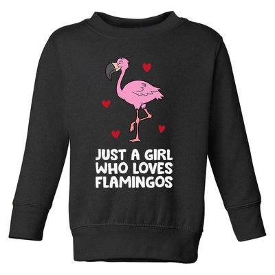 Just A  Who Loves Flamingos Toddler Sweatshirt
