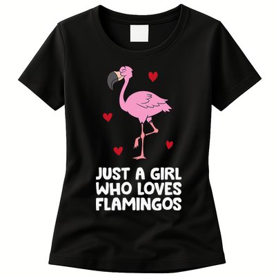 Just A  Who Loves Flamingos Womens T-Shirt
