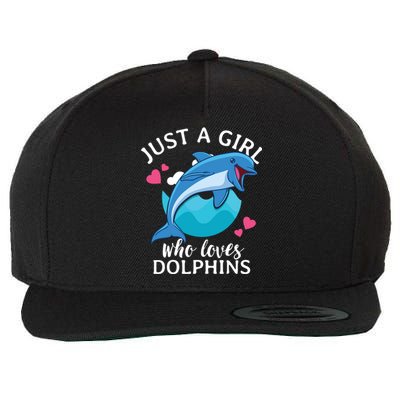 Just A Who Loves Dolphins Wool Snapback Cap