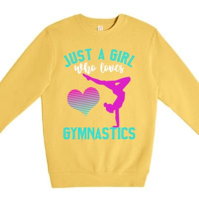 Just A Who Loves Gymnastics Funny Gymnast Quote Graphic Cool Gift Premium Crewneck Sweatshirt