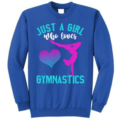 Just A Who Loves Gymnastics Funny Gymnast Quote Graphic Cool Gift Sweatshirt