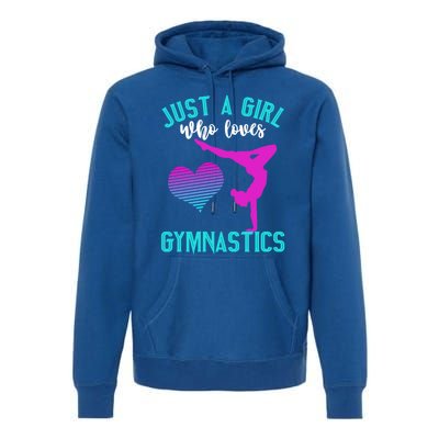 Just A Who Loves Gymnastics Funny Gymnast Quote Graphic Cool Gift Premium Hoodie