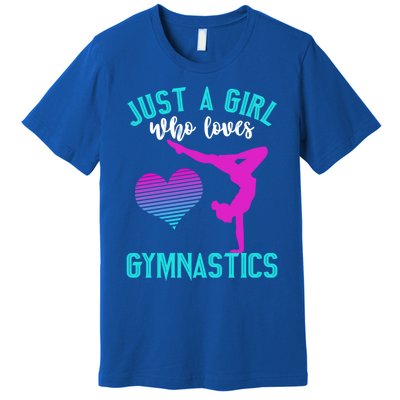 Just A Who Loves Gymnastics Funny Gymnast Quote Graphic Cool Gift Premium T-Shirt