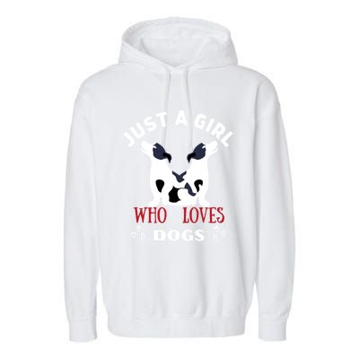 Just A Who Loves Dogs Valentines Day Dogs Funny Gift Funny Gift Garment-Dyed Fleece Hoodie