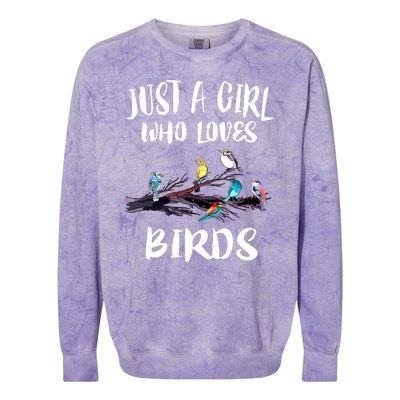 Just A Who Loves Birds Birding Lovers Birdwatcher Colorblast Crewneck Sweatshirt