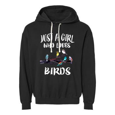 Just A Who Loves Birds Birding Lovers Birdwatcher Garment-Dyed Fleece Hoodie