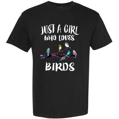 Just A Who Loves Birds Birding Lovers Birdwatcher Garment-Dyed Heavyweight T-Shirt