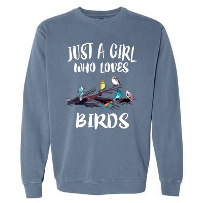 Just A Who Loves Birds Birding Lovers Birdwatcher Garment-Dyed Sweatshirt