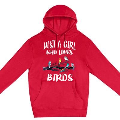 Just A Who Loves Birds Birding Lovers Birdwatcher Premium Pullover Hoodie