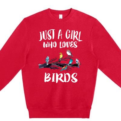 Just A Who Loves Birds Birding Lovers Birdwatcher Premium Crewneck Sweatshirt