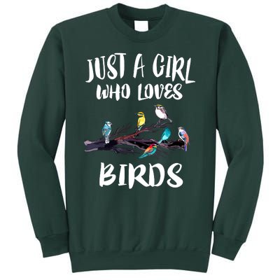 Just A Who Loves Birds Birding Lovers Birdwatcher Sweatshirt