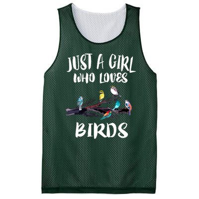 Just A Who Loves Birds Birding Lovers Birdwatcher Mesh Reversible Basketball Jersey Tank