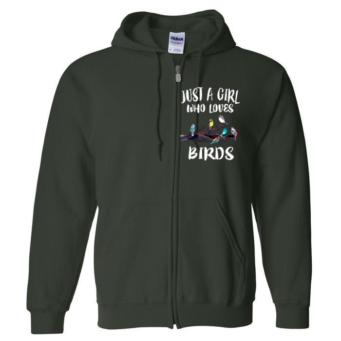 Just A Who Loves Birds Birding Lovers Birdwatcher Full Zip Hoodie