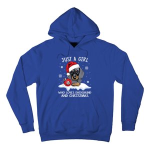 Just A Who Loves Dachshund And Christmas Dachshund Xmas Gift Hoodie