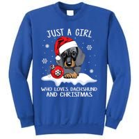 Just A Who Loves Dachshund And Christmas Dachshund Xmas Gift Sweatshirt