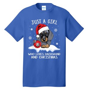 Just A Who Loves Dachshund And Christmas Dachshund Xmas Gift Tall T-Shirt