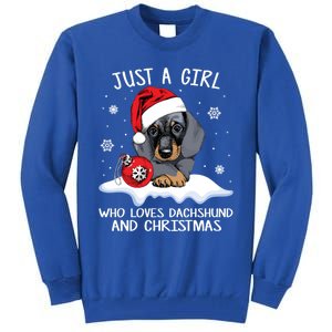 Just A Who Loves Dachshund And Christmas Dachshund Xmas Gift Tall Sweatshirt