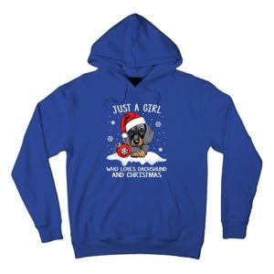 Just A Who Loves Dachshund And Christmas Dachshund Xmas Gift Tall Hoodie