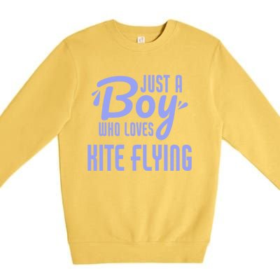 Just A Who Loves Kite Flying Funny Kite Flyer Cool Gift Premium Crewneck Sweatshirt