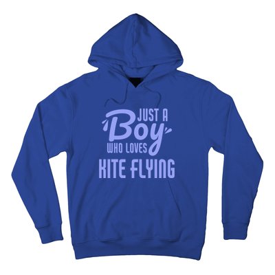 Just A Who Loves Kite Flying Funny Kite Flyer Cool Gift Hoodie