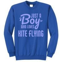 Just A Who Loves Kite Flying Funny Kite Flyer Cool Gift Sweatshirt