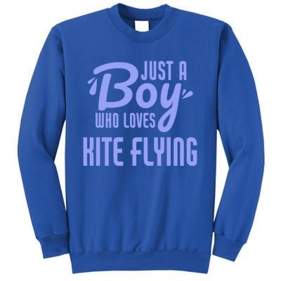 Just A Who Loves Kite Flying Funny Kite Flyer Cool Gift Sweatshirt