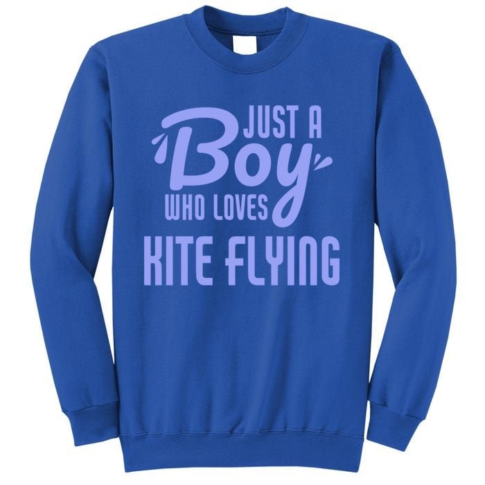 Just A Who Loves Kite Flying Funny Kite Flyer Cool Gift Sweatshirt