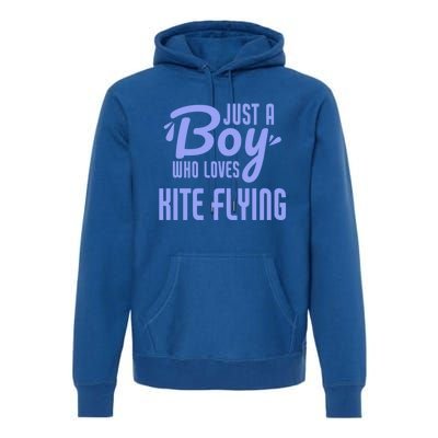 Just A Who Loves Kite Flying Funny Kite Flyer Cool Gift Premium Hoodie