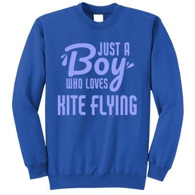 Just A Who Loves Kite Flying Funny Kite Flyer Cool Gift Tall Sweatshirt