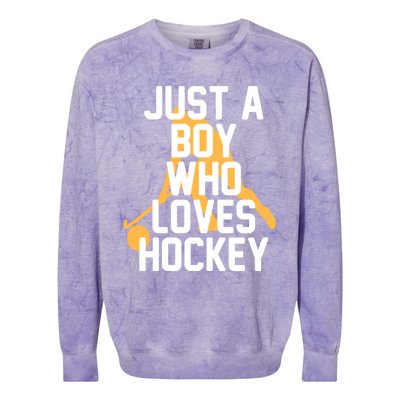 Just A Who Loves Hockey Product Gift Colorblast Crewneck Sweatshirt