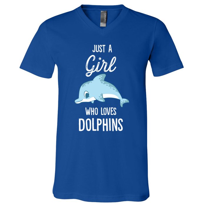 Just A Who Loves Dolphins Funny Gift V-Neck T-Shirt