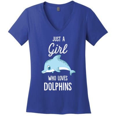 Just A Who Loves Dolphins Funny Gift Women's V-Neck T-Shirt