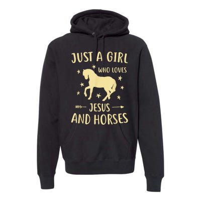 Just A  Who Loves Jesus And Horses Premium Hoodie