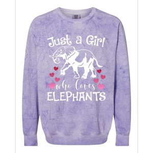 Just A Who Loves Elephants Heart African Savanna Animal Gift Colorblast Crewneck Sweatshirt