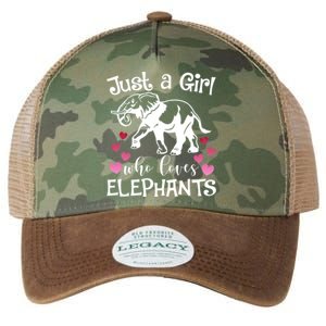 Just A Who Loves Elephants Heart African Savanna Animal Gift Legacy Tie Dye Trucker Hat