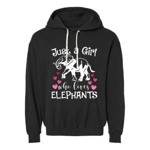 Just A Who Loves Elephants Heart African Savanna Animal Gift Garment-Dyed Fleece Hoodie