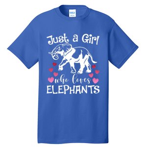 Just A Who Loves Elephants Heart African Savanna Animal Gift Tall T-Shirt