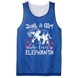 Just A Who Loves Elephants Heart African Savanna Animal Gift Mesh Reversible Basketball Jersey Tank