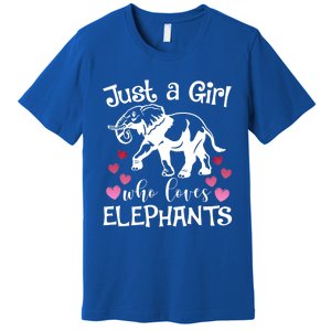 Just A Who Loves Elephants Heart African Savanna Animal Gift Premium T-Shirt