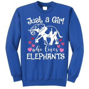 Just A Who Loves Elephants Heart African Savanna Animal Gift Tall Sweatshirt