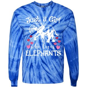 Just A Who Loves Elephants Heart African Savanna Animal Gift Tie-Dye Long Sleeve Shirt