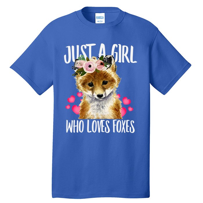 Just A Who Loves Foxes Lovegiftr Dad Mom Funny Funny Gift Tall T-Shirt